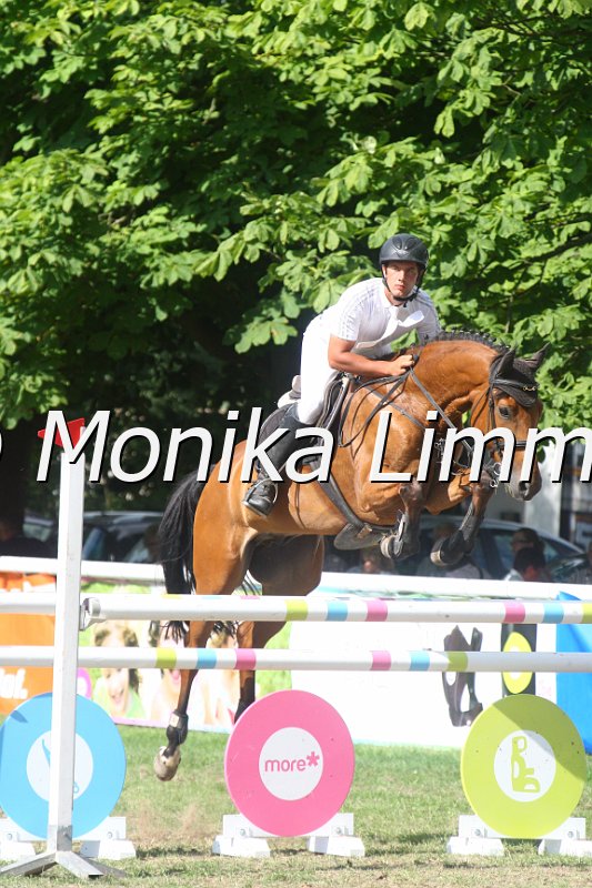 308M3808_Camprinus_Springpferde Mx.JPG